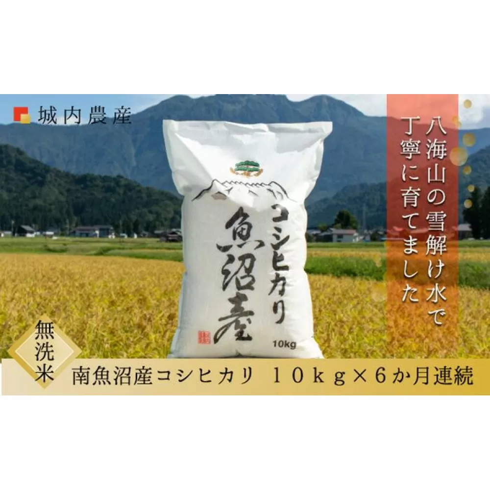 【令和７年産新米予約】【お米定期便/全６回】南魚沼産コシヒカリ　無洗米１０ｋｇ＜５割減農薬栽培米＞城内農産【2025年10月上旬より順次発送予定】