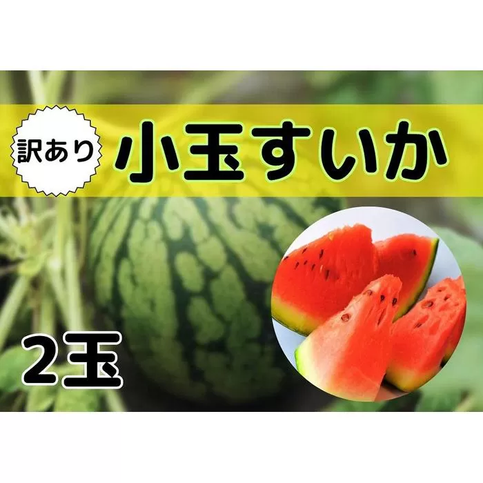 【新潟県南魚沼産】【わけあり】八色原スイカ 小玉２玉