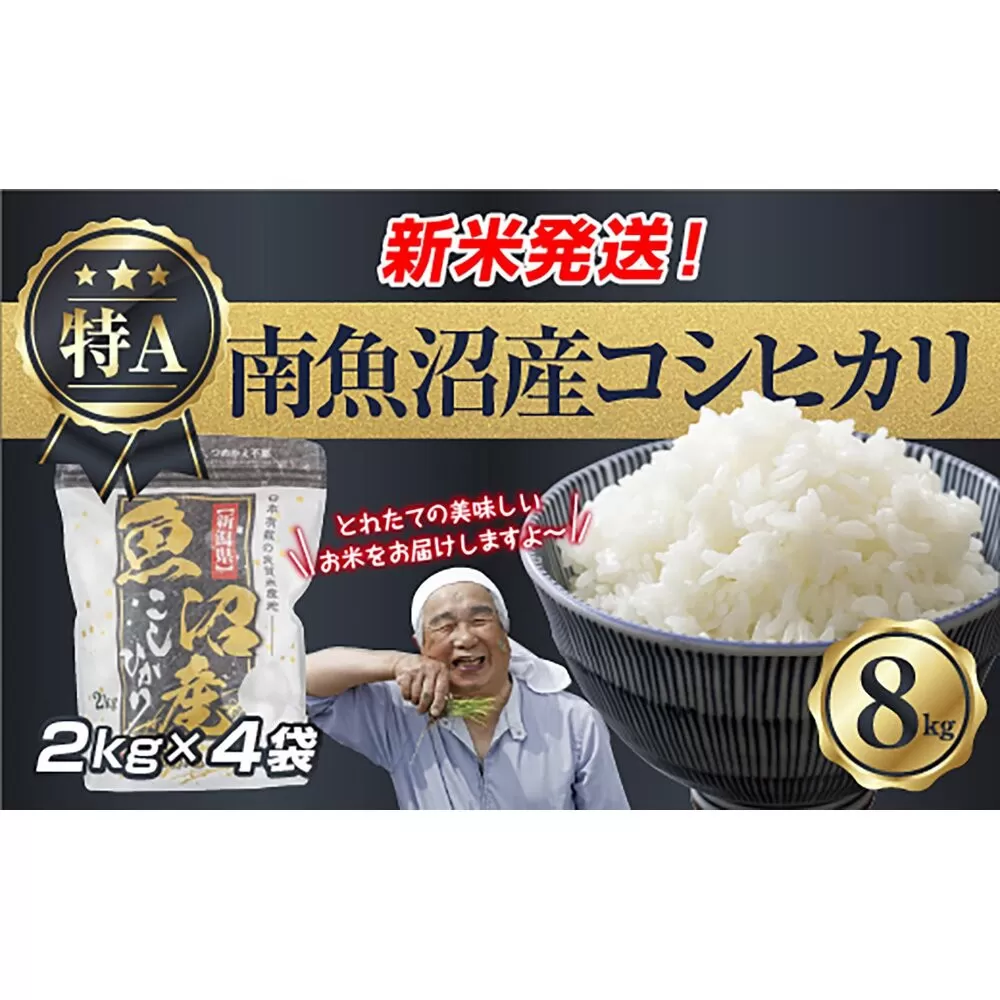 令和7年産 新潟県 南魚沼産 コシヒカリ お米 2kg×4袋 計 8kg 精米済み（お米の美味しい炊き方ガイド付き） お米 こめ 白米 こしひかり 食品 人気 おすすめ 魚沼 南魚沼 南魚沼市 新潟県産 新潟県 精米 産直 産地直送