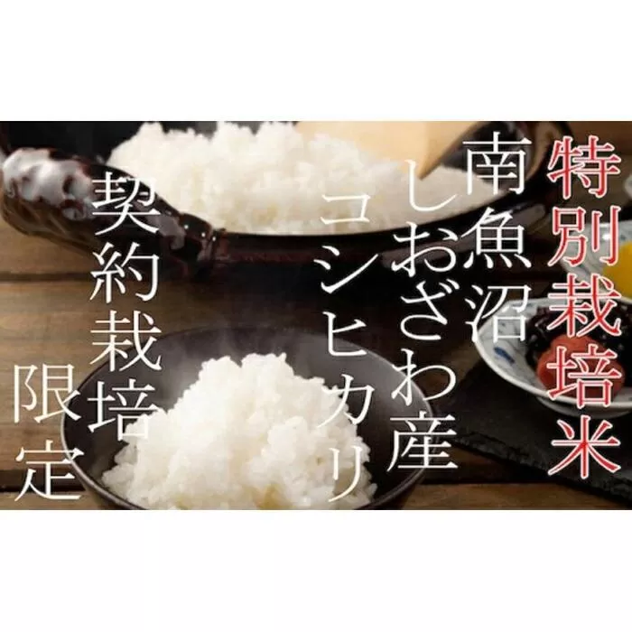 【令和7年産】【定期配送２Kg×3ヶ月】特別栽培 生産者限定  南魚沼しおざわ産コシヒカリ【2025年10月上旬より順次発送予定】
