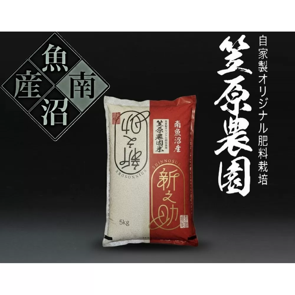 【令和7年産新米】南魚沼産 笠原農園米 新之助 5kg