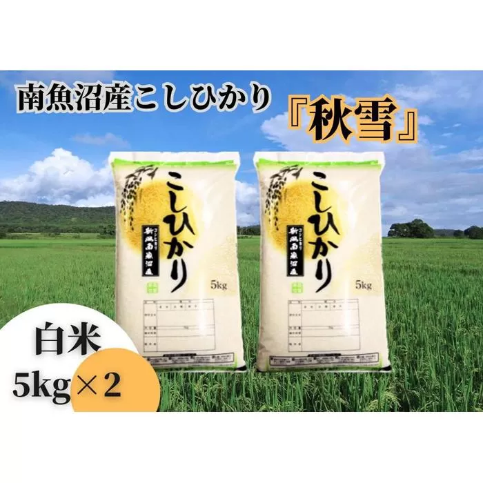 【令和7年産 新米予約】南魚沼産こしひかり「秋雪」白米10kg 新潟県の特A地区南魚沼市の美味しいお米【2025年（令和7年）10月上旬より順次発送予定】【米 お米 こしひかり 南魚沼 米 白米 こめ 新潟 米】