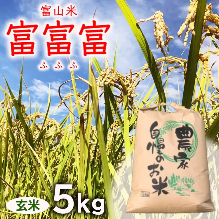 【令和7年度米】【先行予約】農家直送「 富富富 」5kg（玄米）｜富山米 ふふふ　※北海道・沖縄・離島への配送不可　※2025年9月下旬頃より順次発送予定