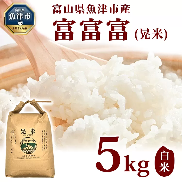 【令和7年度産米】【農家直送】環境配慮「魚津の富富富（晃米）」白米5kg ※北海道・沖縄・離島への配送不可