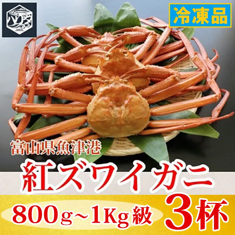 【冷凍】自社漁船直送!魚卸問屋の紅ズワイガニ 800g~1kg級×3ハイセット|かに カニ 蟹 国産ずわい蟹 ずわいガニ 紅ズワイ蟹 紅ずわいがに 紅ずわい蟹 ボイル セットかにしゃぶ 魚貝類 魚介類 海鮮 鮮魚 新鮮 蟹飯 人気 豪華 ご褒美 贅沢 お取り寄せ グルメ カニ味噌 ※2026年9月~発送