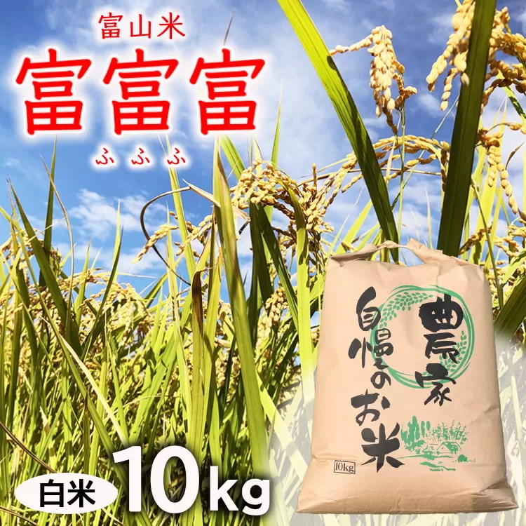 【令和8年度米】【新米予約】農家直送「富富富」10kg（白米）｜富山米 ふふふ ※2026年9月～発送