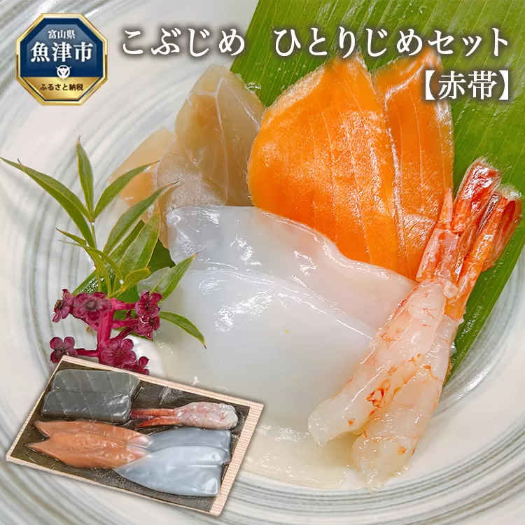 こぶじめ・ひとりじめ　6セット (赤帯×6パック) 【昆布締め こんぶじめ 刺身 さしみ 詰め合わせ 富山  おつまみ 酒の肴】