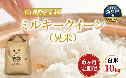 【6ヶ月定期便】【令和6年度米】「魚津のミルキークイーン（晃米）」10kg（白米） ｜新米 環境配慮 MK農産 お米 ブランド米 銘柄米 精米 ご飯 おにぎり 産地直送 甘み 粘り もちもち ※2024年10月下旬頃より順次発送予定 ※北海道・沖縄・離島への配送不可
