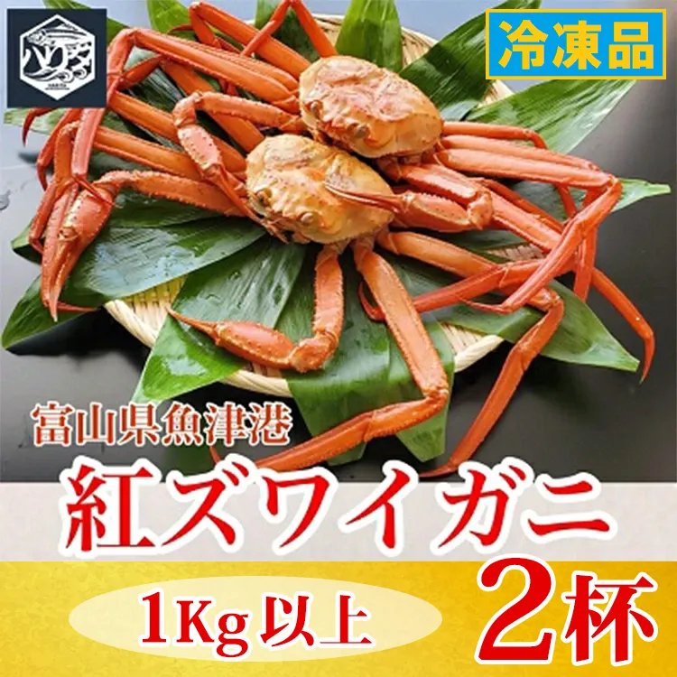 【冷凍】自社漁船直送！魚卸問屋の紅ズワイガニ 1kg以上×2ハイセット｜かに カニ 蟹 国産ずわい蟹 ずわいガニ 紅ズワイ蟹 紅ずわいがに 紅ずわい蟹 ボイル セットかにしゃぶ 魚貝類 魚介類 海鮮 鮮魚 新鮮 蟹飯 人気 豪華 ご褒美 贅沢 お取り寄せ グルメ カニ味噌 ※2026年9月～発送