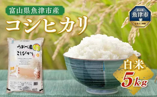 【令和6年度米】富山県 魚津市産米「コシヒカリ」5kg｜こしひかり こめ コメ お米 おこめ 白米 精米 雪解け水 香り うまみ あまみ 冷めても 美味しい おにぎり お弁当 高品質 魚津市 ※北海道・沖縄・離島への配送不可