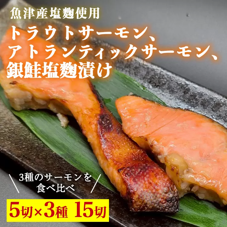 トラウトサーモン、アトランティックサーモン、銀鮭、塩麹漬け各5切ずつセット ※北海道・沖縄・離島への配送不可