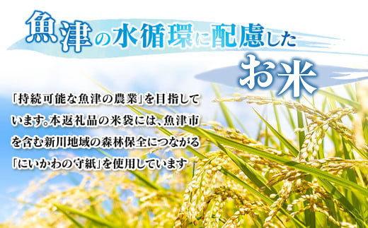 令和7年度米】【先行予約】【農家直送】環境配慮「魚津の