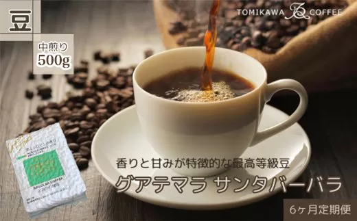 【6ヶ月定期便】自家焙煎コーヒー豆専門店とみかわの「グアテマラ　サンタバーバラ」500g（豆）
