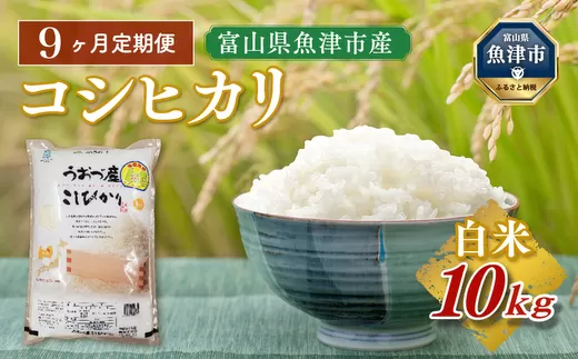【令和7年度米】【9ヶ月定期便】富山県 うおづ産米「コシヒカリ」10kg(5kg×2袋)(精米)|9ヶ月定期便 9回 9ヶ月 こしひかり こめ コメ お米 おこめ 白米 精米 雪解け水 香り うまみ あまみ 冷めても 美味しい おにぎり お弁当 高品質 魚津市 ※北海道・沖縄・離島への配送不可