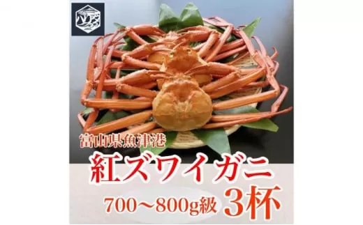 魚卸問屋のベニズワイガニ 700〜800g級×3杯 はりたや ※2024年12月上旬～2025年5月下旬頃に順次発送予定 ※北海道・沖縄・離島への配送不可