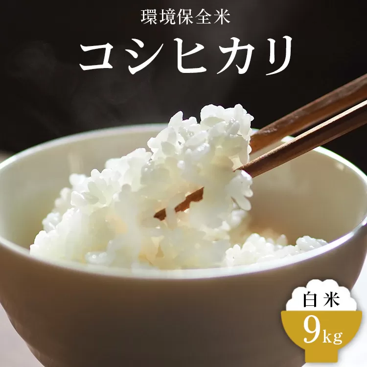 令和6年産 白米 環境保全米 コシヒカリ 9kg｜棚田米 お米 こしひかり こめ コメ 精米 おこめ もちもち 冷めても 美味しい 高品質 富山 魚津※北海道・沖縄・離島への配送不可 ※2024年10月下旬～2025年3月下旬頃に順次発送予定