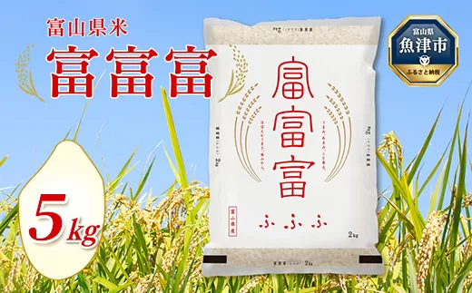 富山米「富富富」5kg（白米）