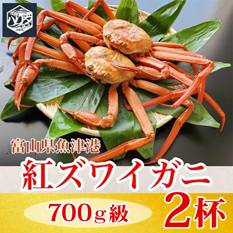 【冷蔵】自社漁船直送！魚卸問屋の紅ズワイガニ 700g級×2ハイセット ※2026年9月～発送