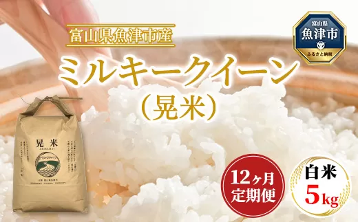 【12ヶ月定期便】【令和6年度米】「魚津のミルキークイーン（晃米）」5kg（白米） ｜新米 環境配慮 MK農産 お米 ブランド米 銘柄米 精米 ご飯 おにぎり 産地直送 甘み 粘り もちもち ※2024年10月下旬頃より順次発送予定 ※北海道・沖縄・離島への配送不可