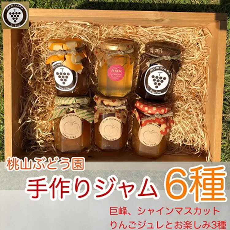 桃山ぶどう園の手作りくだものジャム6種（巨峰、シャインマスカット、りんごジュレとお楽しみ3種）　※北海道・沖縄・離島への配送不可　※2025年9月中旬頃より順次発送予定