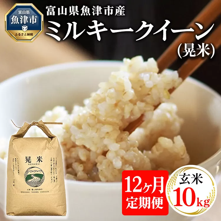 【12ヶ月定期便】【令和6年度米】「魚津のミルキークイーン（晃米）」10kg（玄米） ｜新米 環境配慮 MK農産 お米 ブランド米 銘柄米 玄米 ご飯 おにぎり 産地直送 甘み 粘り もちもち ※2024年10月下旬頃より順次発送予定 ※北海道・沖縄・離島への配送不可
