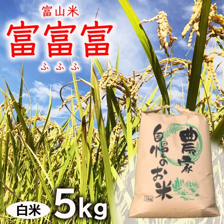【令和7年度米】【先行予約】農家直送「 富富富 」5kg（白米）｜富山米 ふふふ　※北海道・沖縄・離島への配送不可　※2025年9月下旬頃より順次発送予定