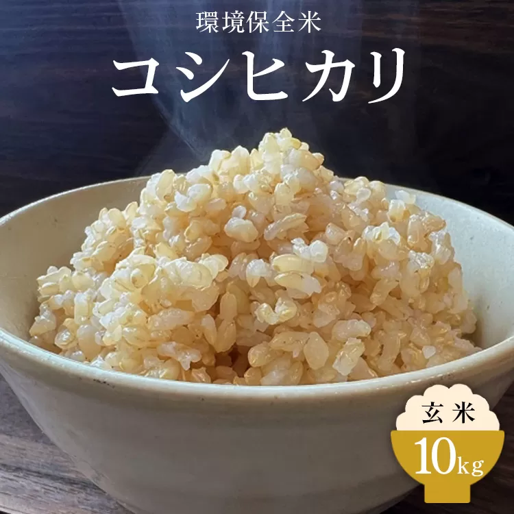 令和6年産 環境保全米コシヒカリ 玄米10kg【北アルプス剣岳源流早月川最上流の棚田米】｜お米 こしひかり ※北海道・沖縄・離島への配送不可 ※2024年10月下旬～2025年3月下旬頃に順次発送予定