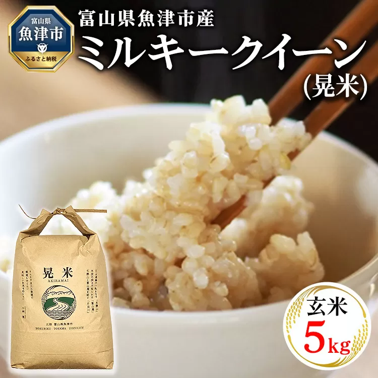 【令和6年度米】環境配慮「魚津のミルキークイーン（晃米）」5kg（玄米） ｜新米 MK農産 玄米 銘柄米 ブランド米 ご飯 おにぎり お弁当 和食 主食 国産 産地直送 甘み 香り もちもち ※2024年10月下旬頃より順次発送予定 ※北海道・沖縄・離島への配送不可