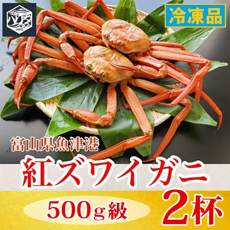 【冷凍】自社漁船直送！魚卸問屋の紅ズワイガニ 500g級×2ハイセット｜かに カニ 蟹 国産ずわい蟹 ずわいガニ 紅ズワイ蟹 紅ずわいがに 紅ずわい蟹 ボイル セットかにしゃぶ 魚貝類 魚介類 海鮮 鮮魚 新鮮 蟹飯 人気 豪華 ご褒美 贅沢 お取り寄せ グルメ カニ味噌 ※2026年9月～発送