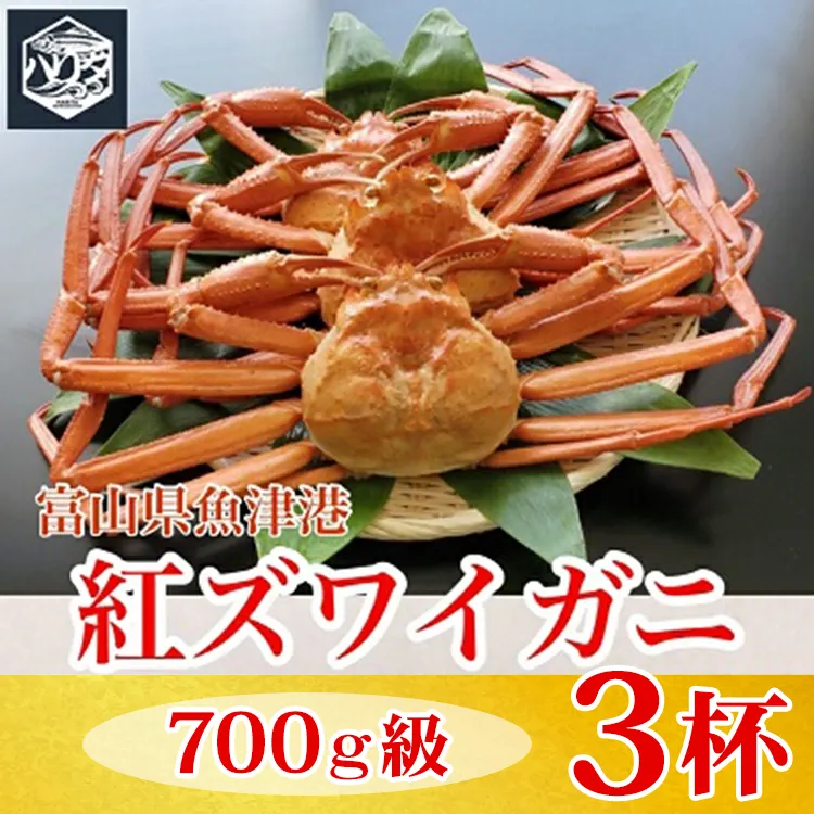 【冷蔵】自社漁船直送！魚卸問屋の紅ズワイガニ 700g級×3ハイセット ※2026年9月～発送