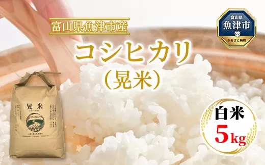 【令和7年度米】【先行予約】【農家直送】環境配慮「魚津のコシヒカリ（晃米）」5kg（白米） ｜ 新米 MK農産 白米 銘柄米 ブランド米 ご飯 おにぎり お弁当 和食 主食 国産 産地直送 甘み 香り もちもち ※2025年9月中旬頃より順次発送予定 ※北海道・沖縄・離島への配送不可