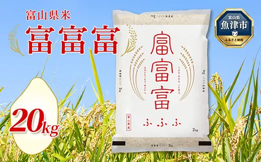 【令和6年度米】富山県 魚津市産米「富富富」20kg（5kg×4袋）（精米）｜富富富 ふふふ こめ コメ お米 おこめ 白米 精米 ブランド米 雪解け水 冷めても 美味しい おにぎり お弁当 高品質 魚津市 ※北海道・沖縄・離島への配送不可