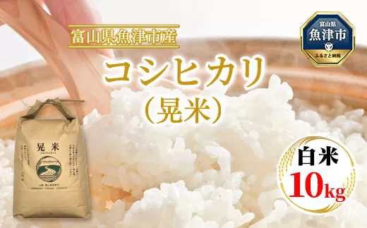 【令和7年度米】【先行予約】【農家直送】環境配慮「魚津のコシヒカリ（晃米）」10kg（白米） ｜新米 MK農産 白米 銘柄米 ブランド米 ご飯 おにぎり お弁当 和食 主食 国産 産地直送 甘み 香り もちもち ※2025年9月中旬頃より順次発送予定 ※北海道・沖縄・離島への配送不可
