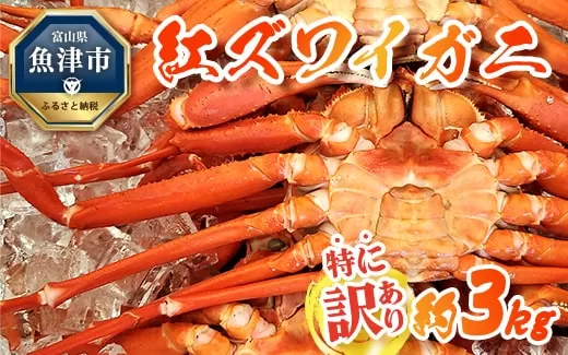 【特に訳あり】魚卸問屋のベニズワイガニ 約3kg　※2023年10月上旬〜2024年5月下旬頃に順次発送予定