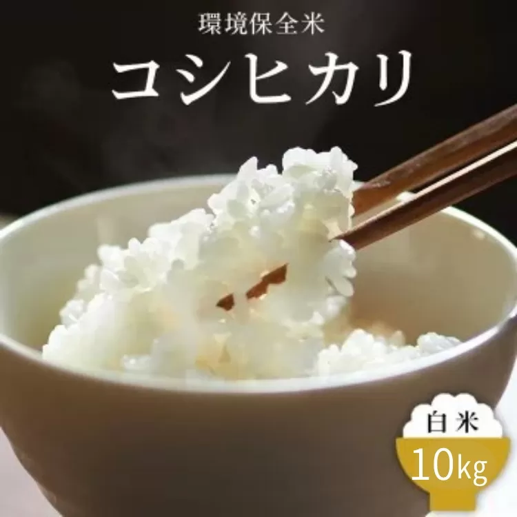 令和7年産 白米 環境保全米 コシヒカリ 10kg｜棚田米 お米 こしひかり こめ コメ 精米 おこめ もちもち 冷めても 美味しい 高品質 富山 魚津※北海道・沖縄・離島への配送不可