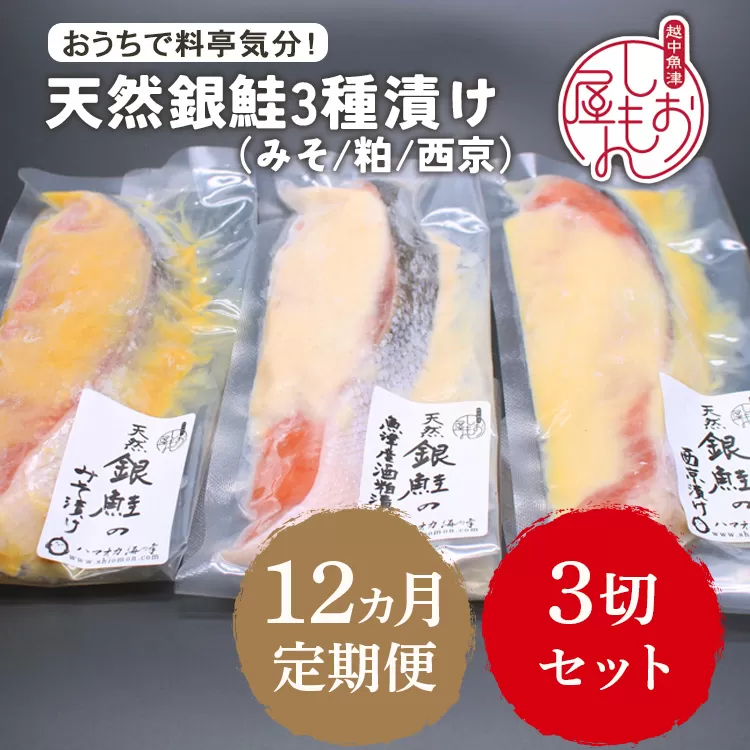 【12ヵ月定期便】【セット】干物屋の天然銀鮭3種ずつセット（西京漬け、味噌漬け、粕漬け）3切セット ※北海道・沖縄・離島への配送不可