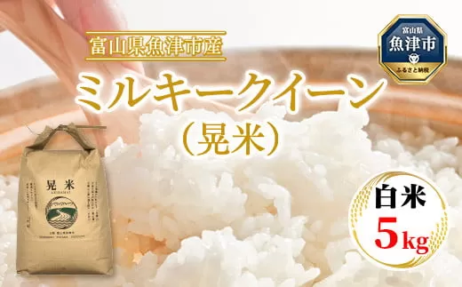 【令和7年度米】【先行予約】【農家直送】環境配慮「魚津のミルキークイーン（晃米）」5kg（白米）｜新米 MK農産 白米 銘柄米 ブランド米 ご飯 おにぎり お弁当 和食 主食 国産 産地直送 甘み 香り もちもち ※2025年9月中旬頃より順次発送予定 ※北海道・沖縄・離島への配送不可