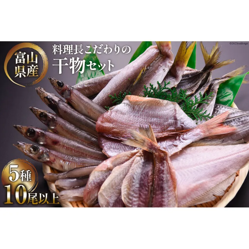 【2024年9月下旬より順次出荷】無添加 干物 詰め合わせ 5種類 10尾以上 期間限定 産地直送 冷凍 / 生地温泉たなかや / 富山県 黒部市 海鮮 魚 魚介類 魚介 セット ひもの イカ 鯖 サバ 