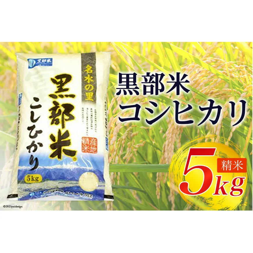 【令和7年産】黒部米 コシヒカリ 5kg 精米