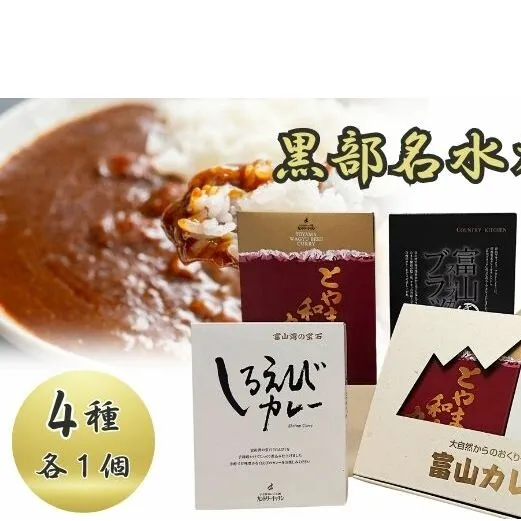 黒部名水カレー（4種類） レトルト 保存食 非常食 惣菜 スープカレー 