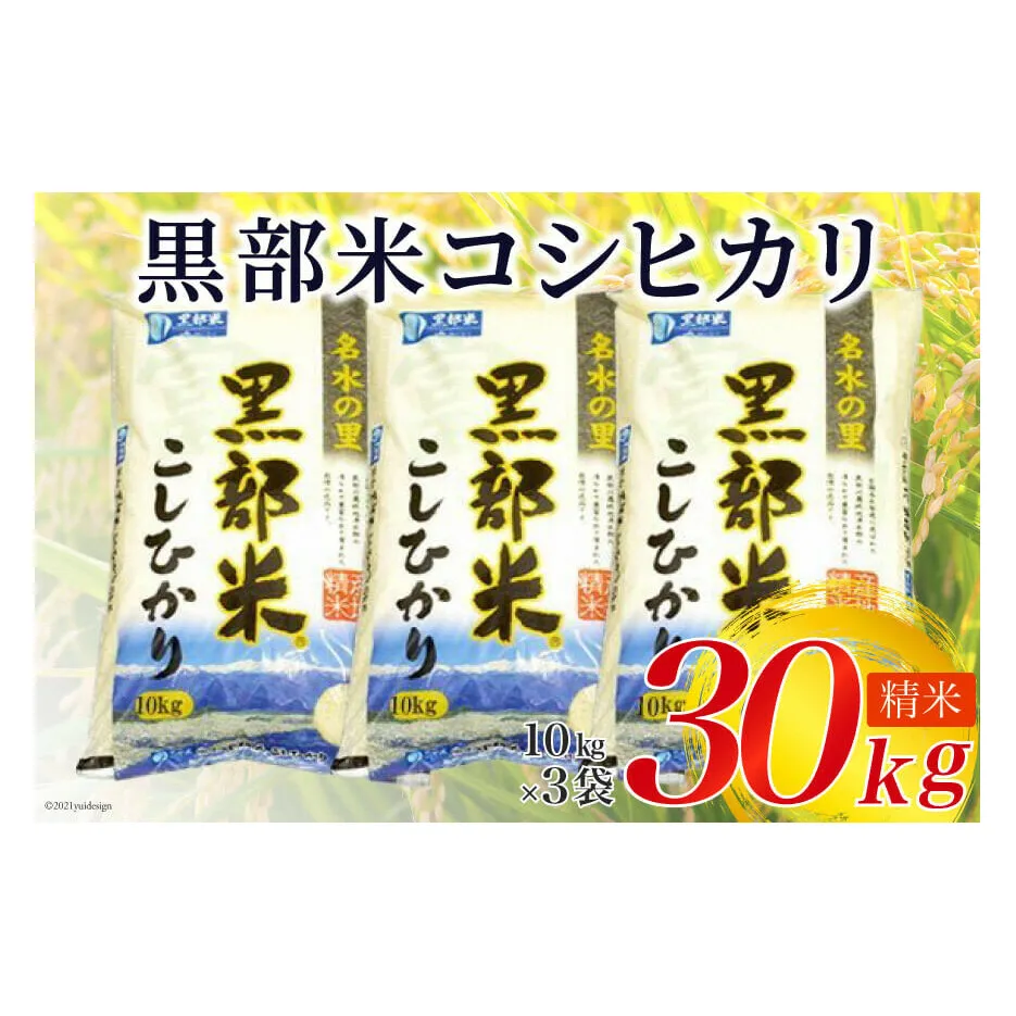 【令和8年産】 黒部米 コシヒカリ 10kg×3袋 計30kg 精米