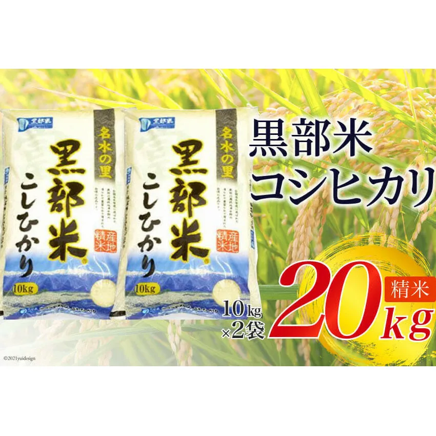 【令和8年産】黒部米 コシヒカリ 10kg×2袋 計20kg 精米