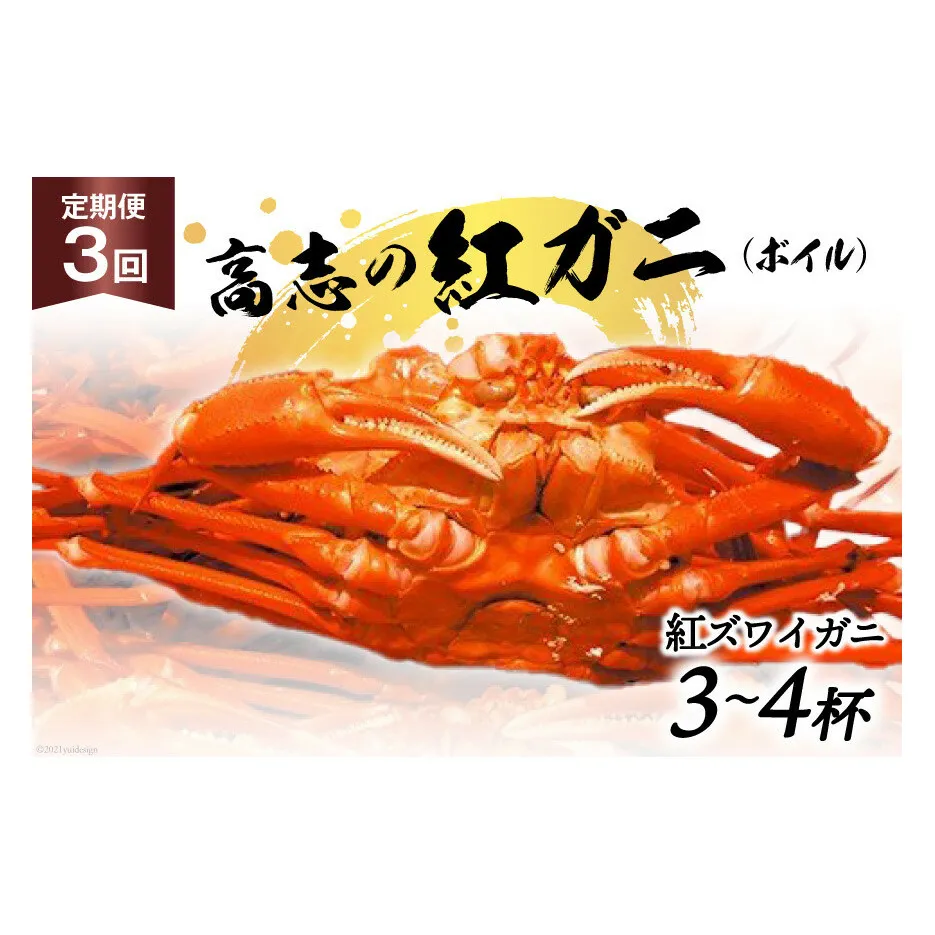 定期便 紅 ズワイガニ ボイル 高志の紅ガニ 3～4杯×3回 カニ 蟹 期間限定 冷蔵/くろべ漁業協同組合 魚の駅「生地」/富山県 黒部市 かに 海鮮 魚介類 魚介 ずわい蟹 ずわいガニ 