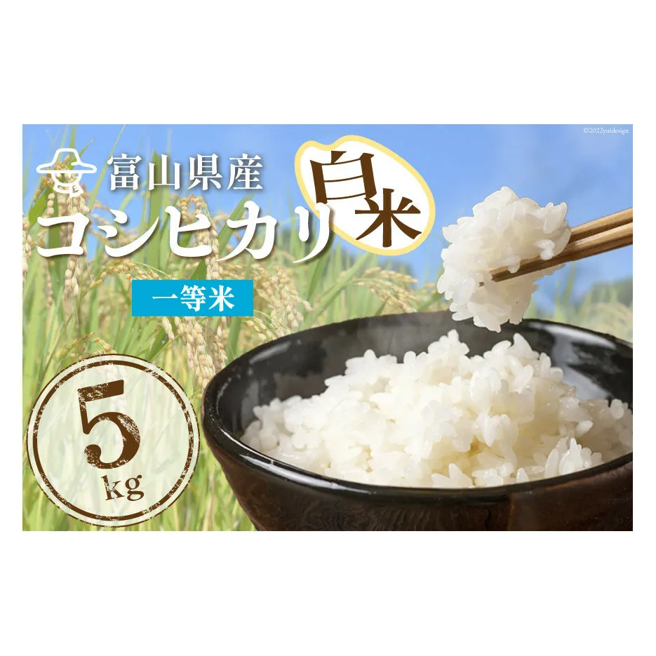 米 精米 コシヒカリ 5kg コメ ご飯 ごはん 白米/林農産/富山県 黒部市 お米 こしひかり 