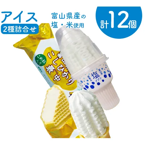 アイス 詰め合わせ 塩ソフト＆富山県産こしひかり最中 計12個 アイスクリーム ソフトクリーム モナカ/横山冷菓/富山県 黒部市 お菓子 菓子 