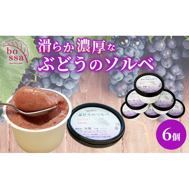 ジェラート 「ぶどうのソルベ」6個入り/アイス シャーベット デザート ブドウ フルーツ 小分け /富山県黒部市 
