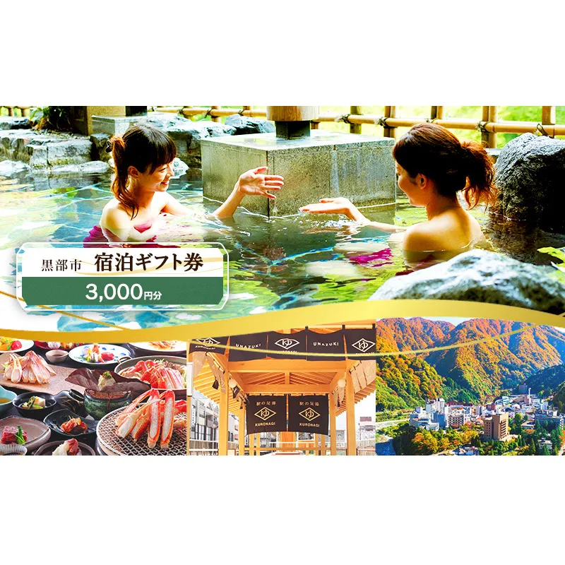黒部市宿泊ギフト券 3,000円分 チケット 宿泊券 ギフト券 温泉 旅行 宿 旅館 観光 黒部 宇奈月