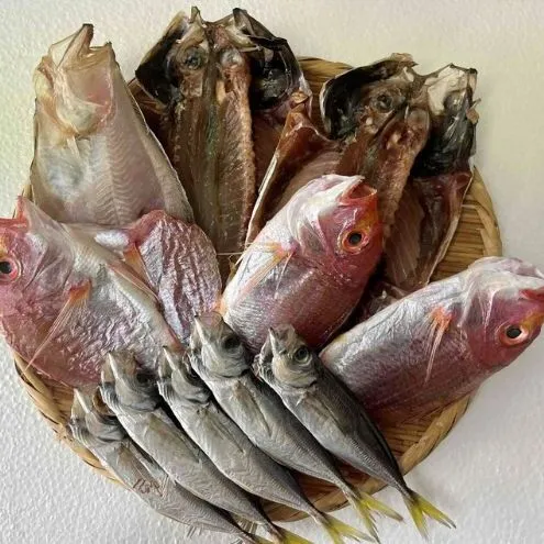 黒部の「できたて干物セット」 / 旬 魚介 魚 さかな 詰め合わせ ひもの 富山湾 名水 産地直送 生地 干物の詰め合わせ 加工品 朝食 朝ごはん おかず 夕飯 晩御飯