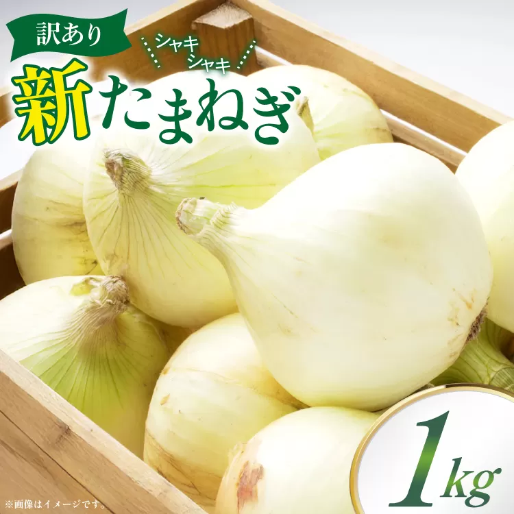 訳あり 新玉ねぎ 1kg [稲生ファーム 富山県 舟橋村 57050220] 玉ねぎ 新たまねぎ タマネギ