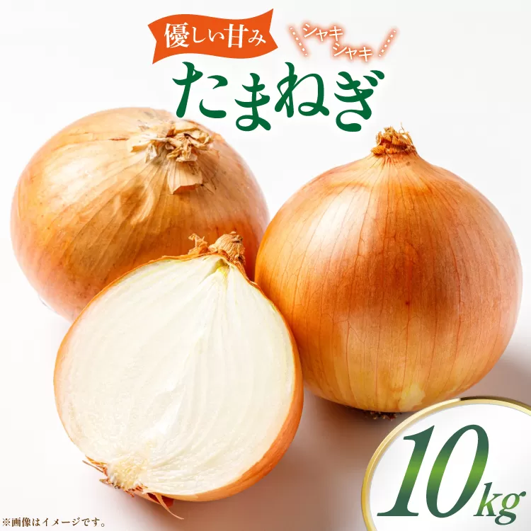 玉ねぎ 10kg [稲生ファーム 富山県 舟橋村 57050217] タマネギ たまねぎ